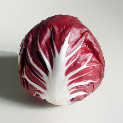 Radicchio