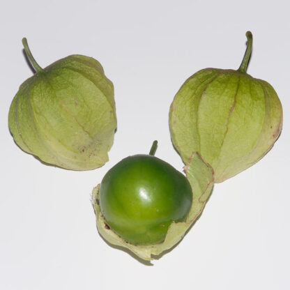 Tomatillo