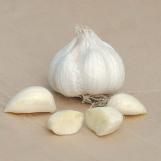 Sættehvidløg Rustisem